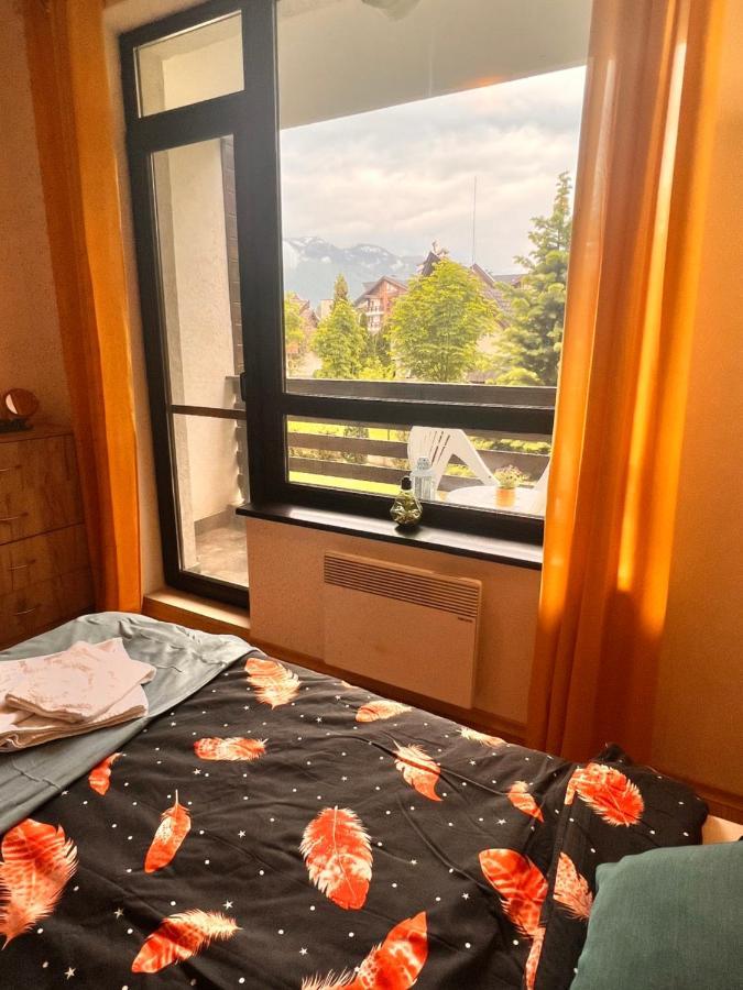 Cosy Studios With Mountain View Near Bansko Razlog Exteriör bild